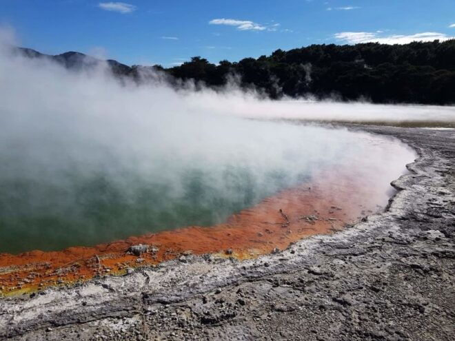 Waimangu Volcanic Valley Morning Tour - Customer Reviews and Ratings