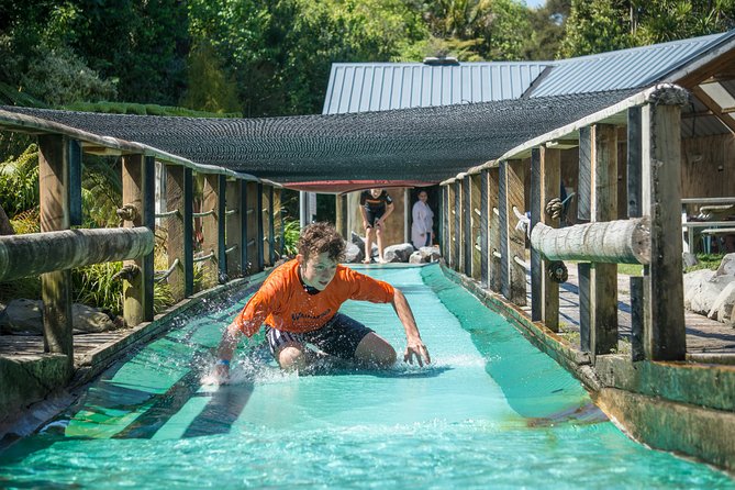 Waimarino Adventure Park - Options for Water Fun