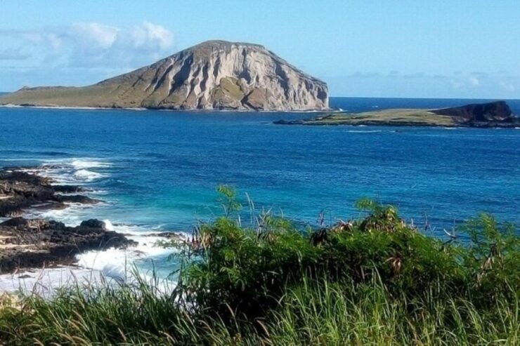 Waimea Waterfalls & Byodo Temple Full Day Oahu Tour - Pickup Information