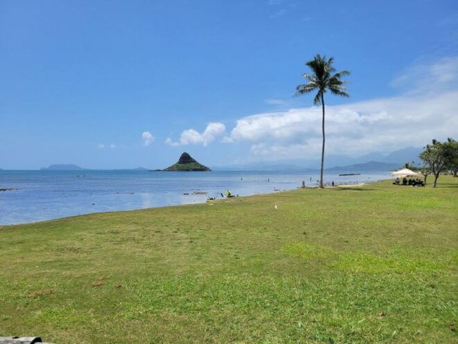 Waimea Waterfalls & Byodo Temple Full Day Oahu Tour - The Sum Up