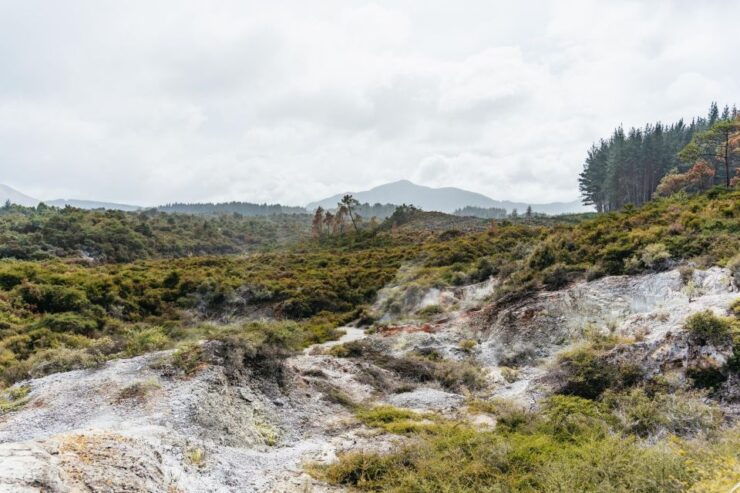 Waiotapu: Thermal Park and Lady Knox Geyser Entry Ticket - Experience