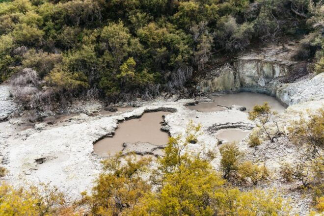 Waiotapu: Thermal Park and Lady Knox Geyser Entry Ticket - Full Description