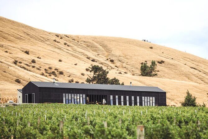 Waipara Valley Wine Region and Hanmer Springs All Day Tour - An In-Depth Look at the Waipara Valley and Hanmer Springs Luxury Tour