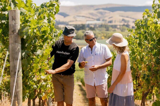 Waipara Valley Wine Region and Hanmer Springs All Day Tour - Analyzing the Value