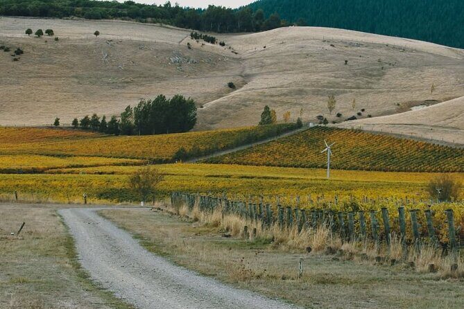 Waipara Valley Winery Tour Wine Tastings and Scenic Views - What Makes This Tour a Great Choice?  