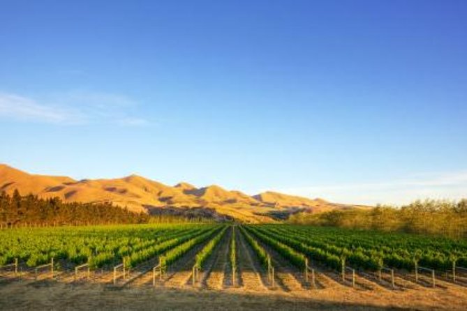 Waipara Wine Trail Afternoon Tour From Christchurch - Sample Menu