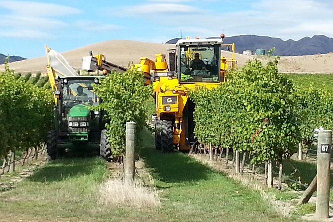 Waipara Wine Trail Afternoon Tour From Christchurch - Tour Cancellations and Positive Feedback