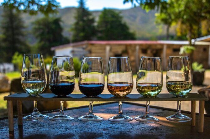 Waipara Wine Trail Private Group Tour From Christchurch - Good To Know