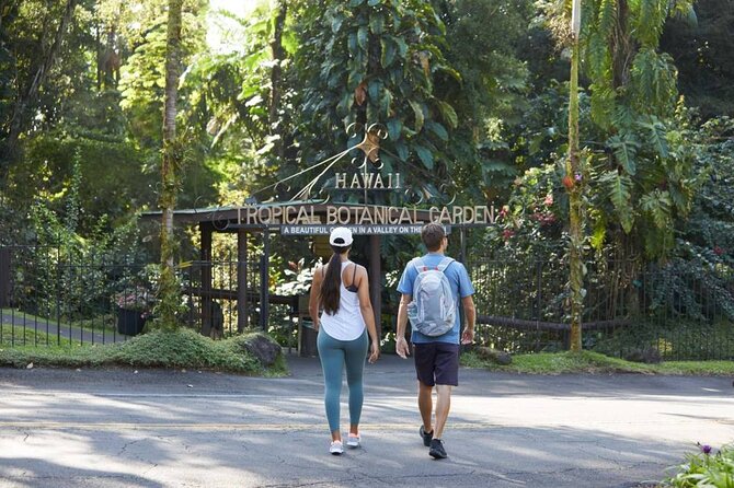 Waipio Valley, Hamakua Coast, Akaka Falls From Kona  - Big Island of Hawaii - Accessibility for All Ages