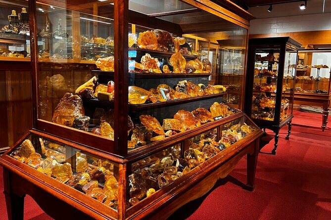 WAIPOUA FOREST Tane Mahuta & KAURI MUSEUM Day Tour from Auckland - Good To Know