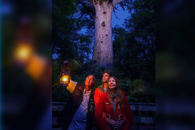 Waipoua Forest: Twilight Encounter - Maori Cultural Eco Night Tour - Meeting and Pickup