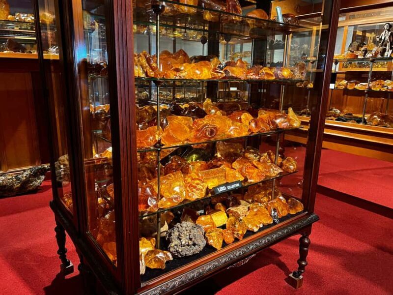 Waipoua KAURI Forest, Tane Mahuta & Museum Tour Ex Auckland - Good To Know