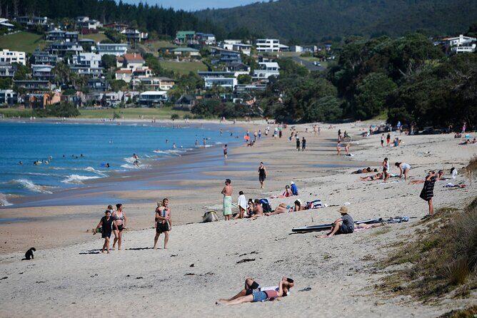 Waipu Milkyway Cave and East Coast Day Tour from Auckland - Discovering the Northland Highlights