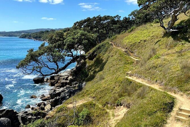 Waipu Milkyway Cave and East Coast Day Tour from Auckland - FAQ