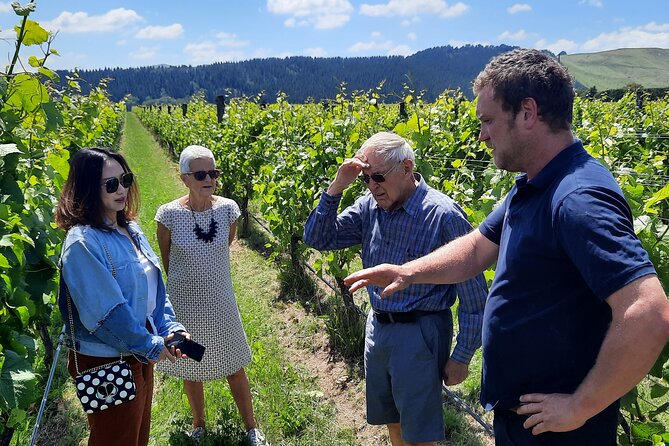 Wairarapa Food Small-Group Tour With Tastings, Vineyard Lunch  - Wellington - Tour Details and Inclusions