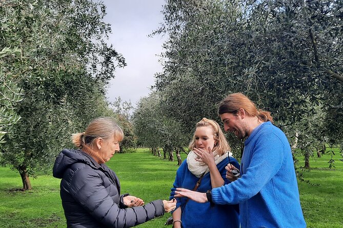 Wairarapa Food Small-Group Tour With Tastings, Vineyard Lunch  - Wellington - Additional Information