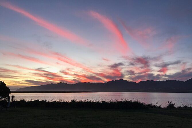 Wairarapa Tours South Wairarapa Cultural Tour Half Day - Authentic Insights and Real-World Feedback  