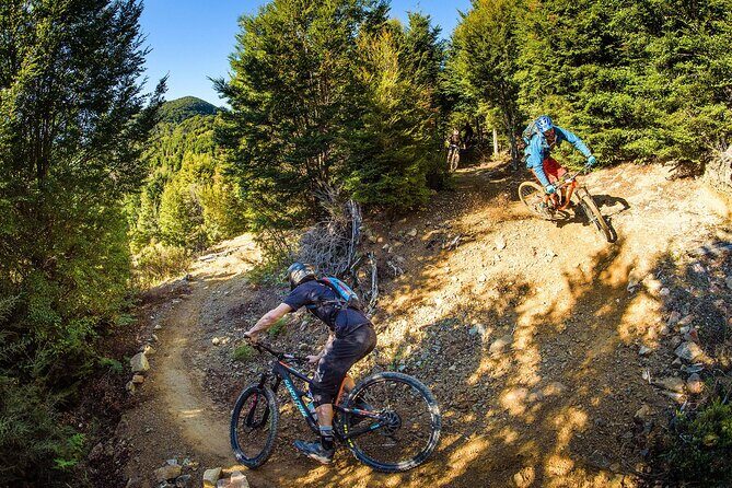 Wairoa Gorge MTB Park Private Shuttle Day - Good To Know