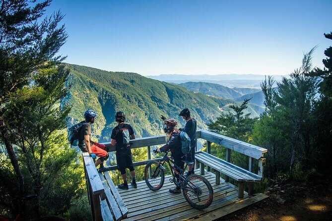 Wairoa Gorge MTB Park Private Shuttle Day - An Overview of the Experience