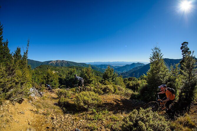 Wairoa Gorge MTB Park Private Shuttle Day - FAQ