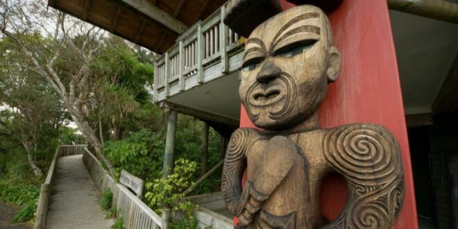 Waitakere Ranges Wilderness Experience Tour From Auckland - Other Recommended Tours