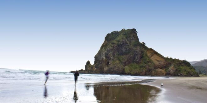 Waitakere Ranges Wilderness Experience Tour From Auckland - Customer Reviews