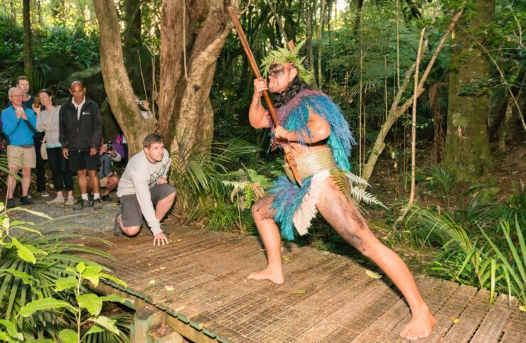 Waitangi Treaty Ground Hāngi & Concert Combo Pass - Activity Details