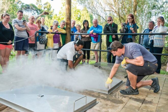 Waitangi Treaty Ground Hāngi & Concert Combo Pass - Reserve Now & Pay Later