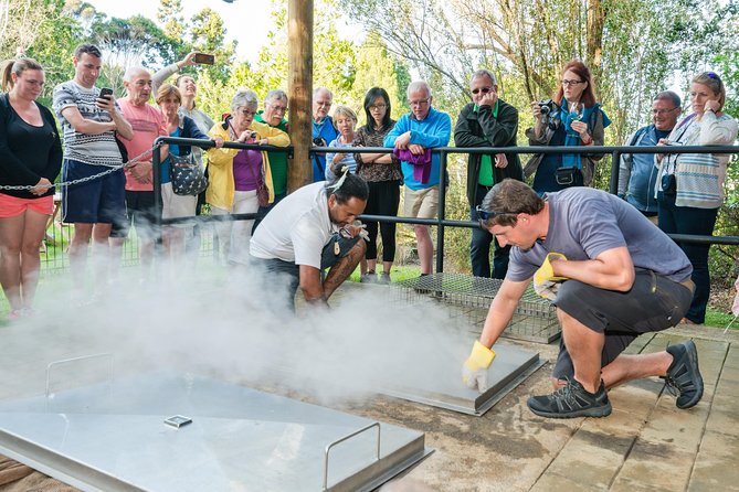Waitangi Treaty Grounds: Combo Pass (Hāngi Concert Admission) - Overview and Experience