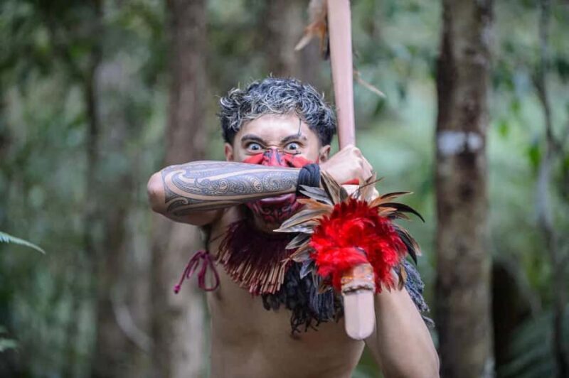 Waitangi Treaty Grounds Day Tour From Auckland - The Journey to the Heart of New Zealand’s History
