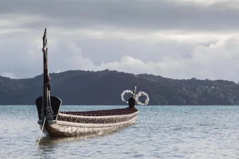 Waitangi Treaty Grounds Day Tour From Auckland - Who Will Love This Tour?