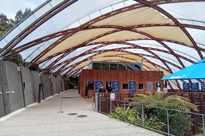 Waitomo Cave and Hobbiton Village Full Day Tour - Good To Know