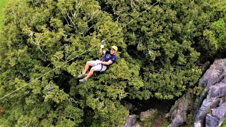 Waitomo Caves 1-Kilometer-Long Zipline Tour - Activity Details and Logistics
