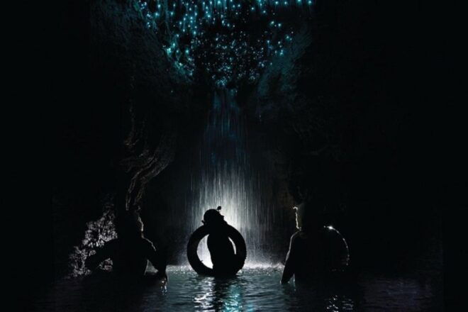 Waitomo Caves Black Abyss Ultimate Caving Experience - Inclusions