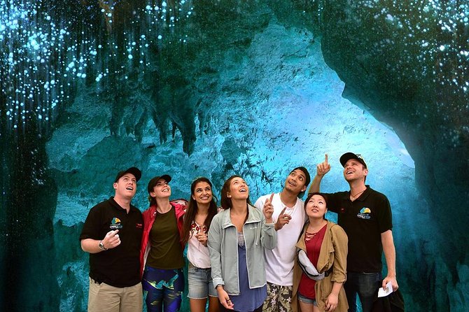 Waitomo Caves & Hobbiton Small Group Tour From Auckland - Common Questions