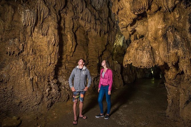 Waitomo Caves & Hobbiton Small Group Tour From Auckland - The Sum Up