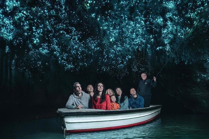 Waitomo Caves Private Tour From Auckland - Reviews and Ratings