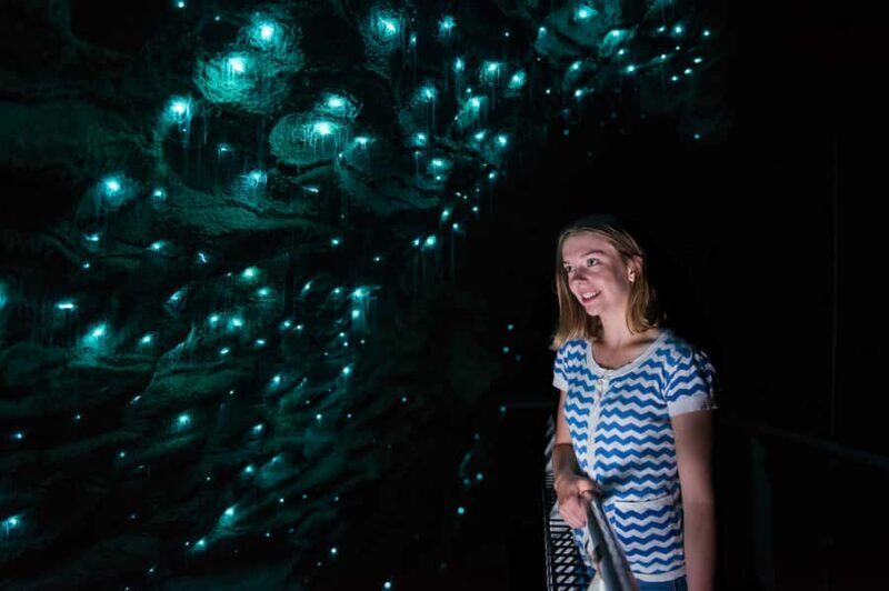Waitomo Caves: Ruakuri Glowworm Cave Guided Walking Tour - Good To Know