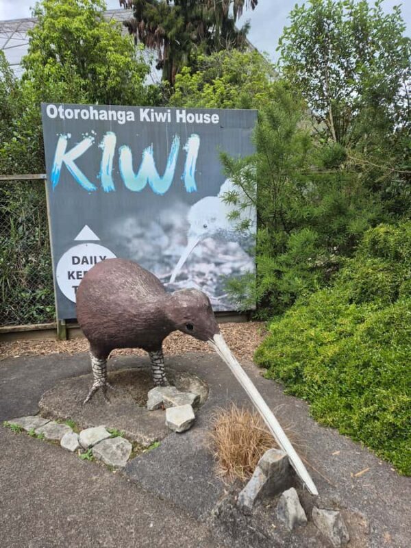Waitomo: Caves to Kiwis eBike ride - Good To Know