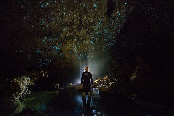 Waitomo Glow Worm Caves - Good To Know