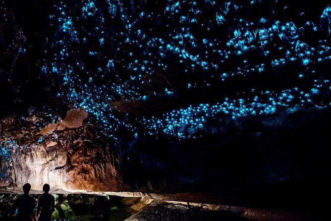 Waitomo Glow Worm Caves Tour from Auckland - Authentic Insights from Traveler Reviews