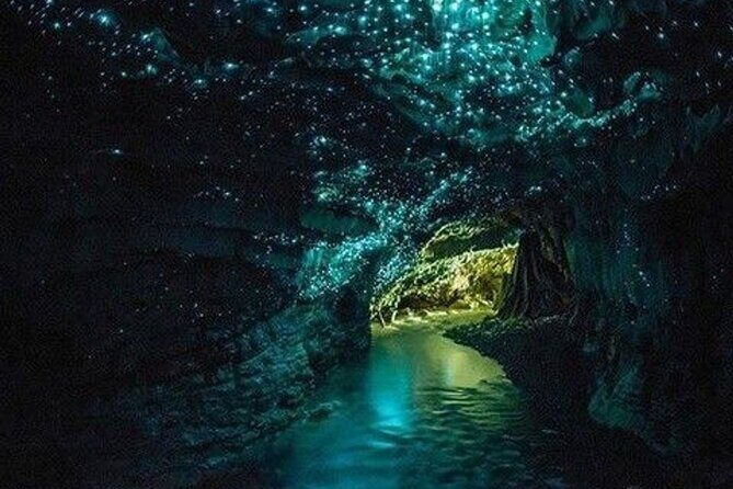 Waitomo Glow Worm Caves Tour from Auckland - FAQs