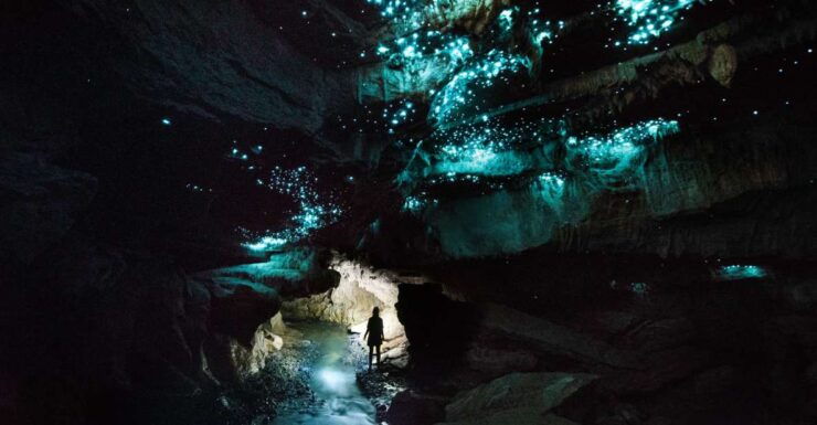 Waitomo: Glowworm Cave 3-Hour Guided Eco-Tour - Booking Details