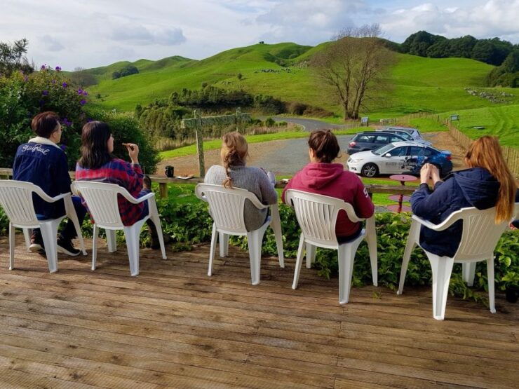 Waitomo: Glowworm Cave 3-Hour Guided Eco-Tour - Experience