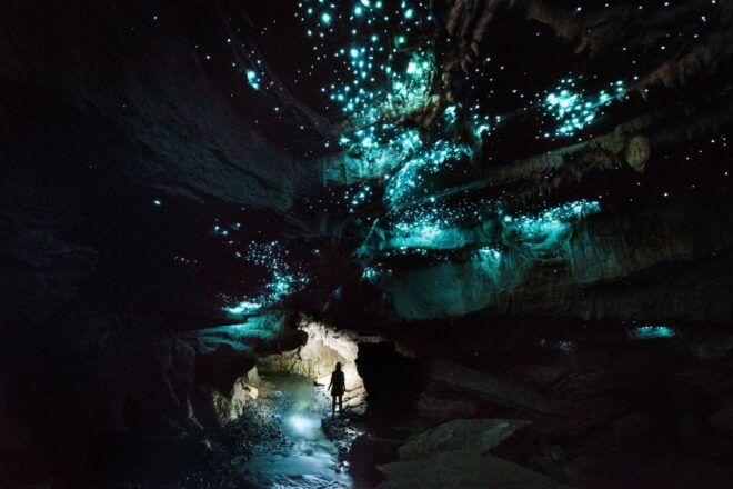 Waitomo: Glowworm Cave 3-Hour Guided Eco-Tour - Full Description