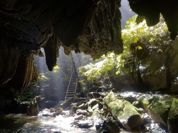 Waitomo: Glowworm Cave 3-Hour Guided Eco-Tour - Directions