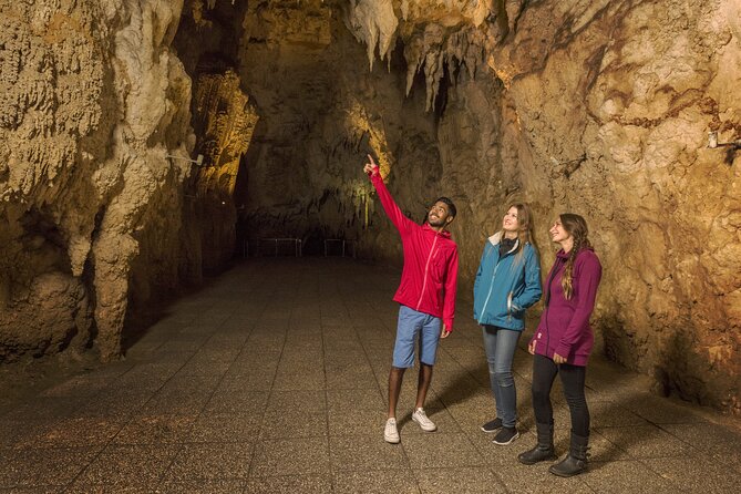 Waitomo Glowworm Cave Experience - Small Group Tour From Auckland - Small Group Experience