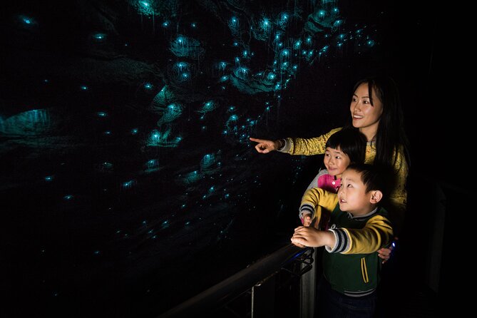 Waitomo Glowworm Cave Experience - Small Group Tour From Auckland - Knowledgeable Guides