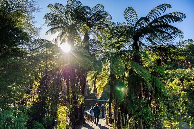 Waitomo GlowWorm cave & Sanctuary Mountain Ancient Walk Tour - Practicalities and Considerations