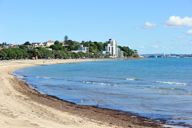 Waitomo Glowworm Caves and Auckland City Tour a Day Trip - Waitomo Glowworm Caves